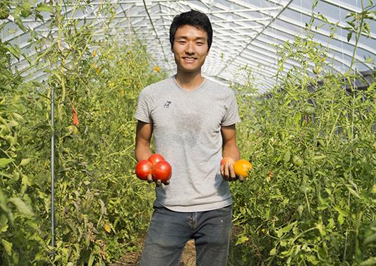 Isaac Lee, manager of the Knox Farm, holds up tomatoes.