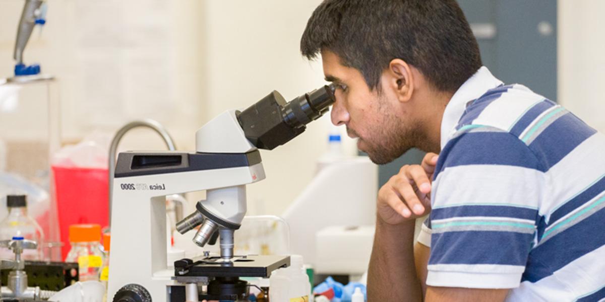 一个学生在生物实验室里观察显微镜.
